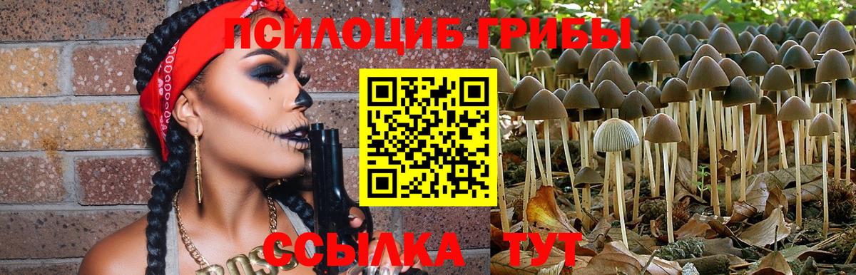 купить наркоту  Вход с VPN  Холмск  Галлюциногенные грибы Cubensis  Псилоцибиновые грибы ЛСД 