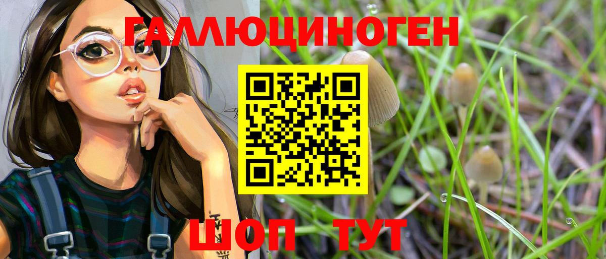 Псилоцибиновые грибы мухоморы Холмск